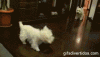 tumblr_mikgepjcoP1s3g3ago1_400.gif