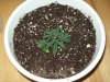 100_0188.jpg