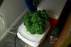 101_0013.jpg