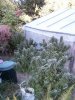 Pic 21.JPG