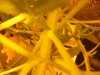2009_05120068.jpg