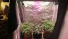 20191128_024635_HDR.jpg