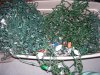 100_2142.JPG