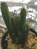IMG_0454.JPG