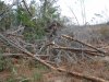 DSCF4181.JPG