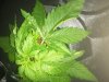 IMG-20191208-WA0010.jpg