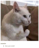 1576020862491.png
