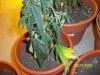 100_1080.jpg