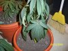 100_1081.jpg