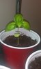 20191222_023333.jpg