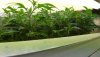 DSC00697.JPG