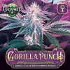 gorilla-punch-gg4-cannabis-feminized-strain-greenpointseeds-r-c.png
