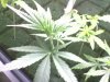 cam_data_photo018.jpg