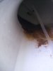 DSCF1219.jpg