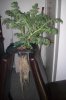 101_0017.jpg