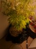 IMG_20200106_132836.jpg