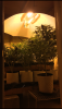 65D95977-203B-468B-A6FD-7EF0CA507523.png