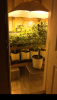 7DEEB482-4427-4661-8D54-93D272FC08E8.png