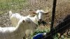 DSC00797.JPG