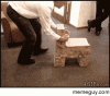 18992317-8A80-4CAA-AED2-56C682DF8D31.gif