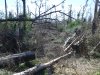 DSCF4423.JPG