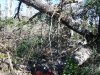 DSCF4425.JPG