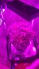 20200106_111916.jpg