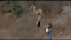 9C50BAD1-F4D0-4374-8EF3-8AF734B7CA07.gif