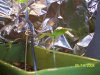 100_2313.jpg