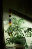 101_0019.jpg