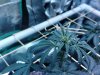IMG_20200113_213913_Bokeh.jpg