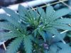 IMG_20200111_165915_Bokeh.jpg