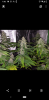 Screenshot_20200117-073024.png