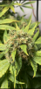 33D0AB3C-A839-4098-ABC2-D752F9A0D4A6.png