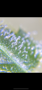 DB1F4252-8E76-4A70-B1AE-D7F37AE7657F.png