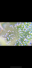 8B2D7E32-5CF9-4267-A88A-27A067CBDF95.png