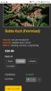 Screenshot_20200130-021734_Chrome.jpg