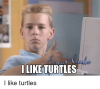 like-turtles-i-like-turtles-15054816.png