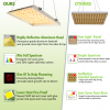 C99FAB05-5992-4C2B-BB5F-C5CEBF1B8237.png