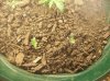 100_1672.jpg