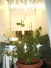 grow journal 463.jpg