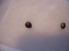 000_0151.jpg