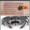 crab-raccoon-338265.jpg