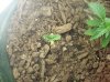 100_1676.jpg