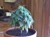 May132007-VID00005_5.jpg