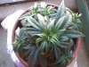 May132007-VID00004_2.jpg
