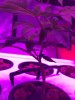 6BA6AF2B-BA93-4DAC-AB1A-8EB53AF5EDF9.jpeg