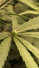 D6AB068A-AB37-4E7C-ADDB-2996B2EB5646.png