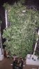 20200304_141026.jpg
