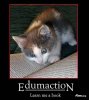 edumacation.jpg